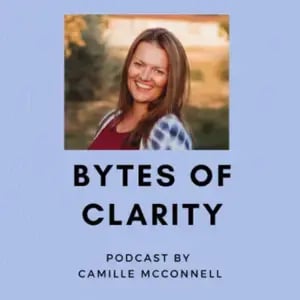 Bytes of Clarity Bytes of Clarity